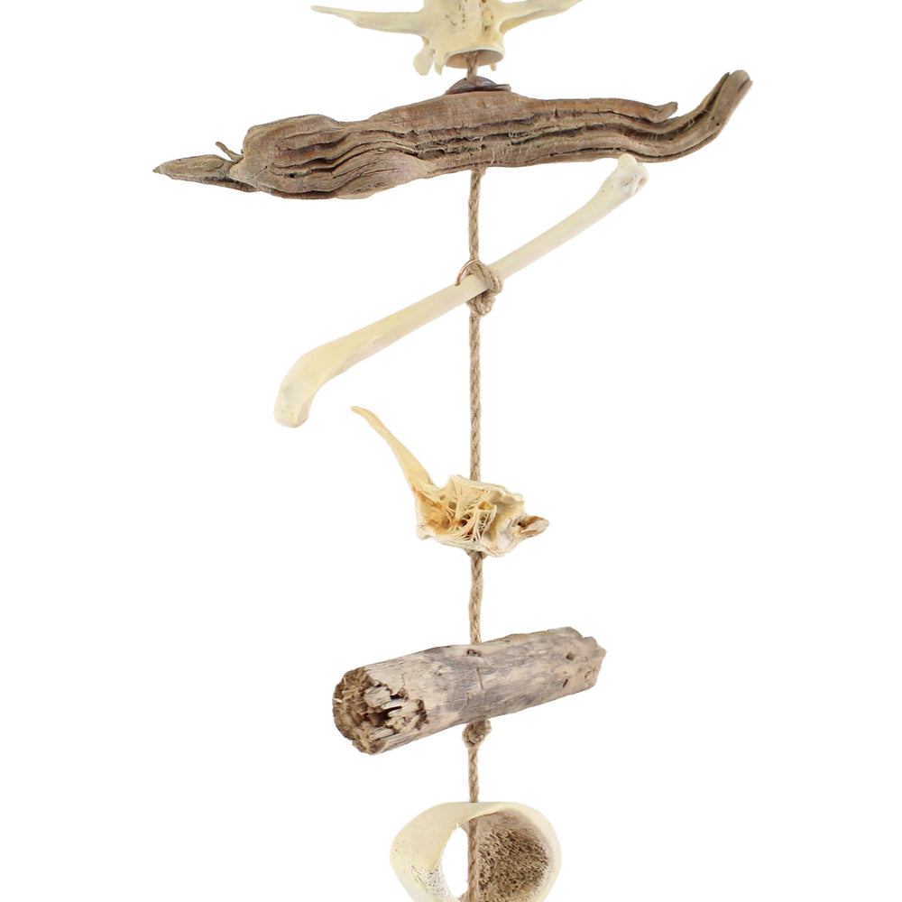 
                      
                        Driftwood, Bones, and Shells Mobile
                      
                    