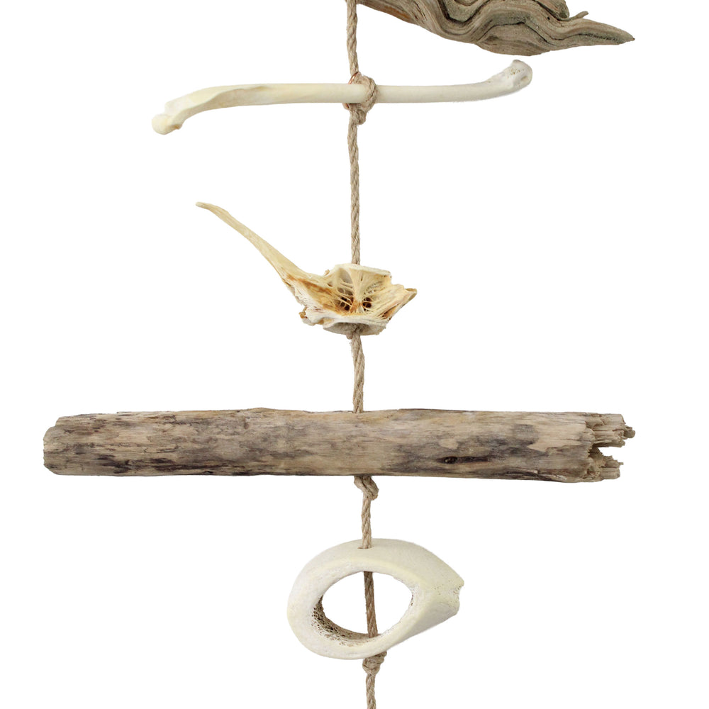 
                      
                        Driftwood, Bones, and Shells Mobile
                      
                    