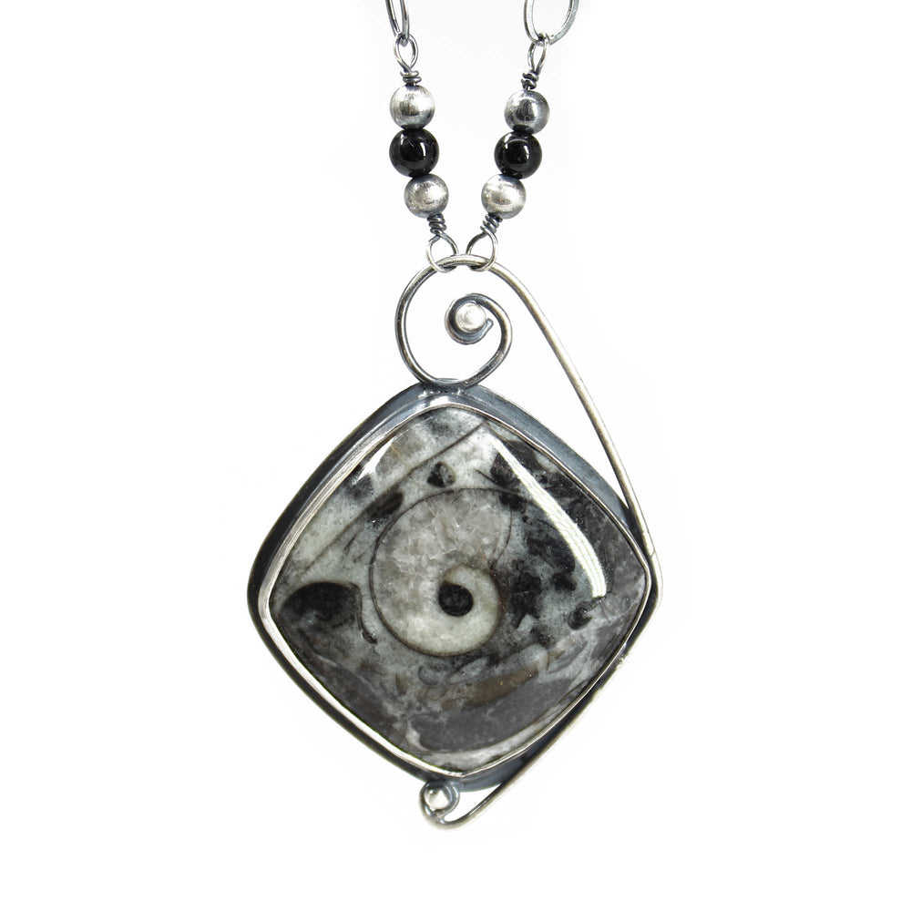 Picasso Ammonite Fossil Necklace in Sterling Silver with Secret Message