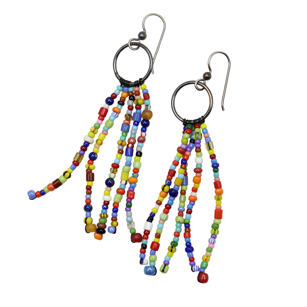 Colorful Rainbow Seed Bead Tassel Earrings