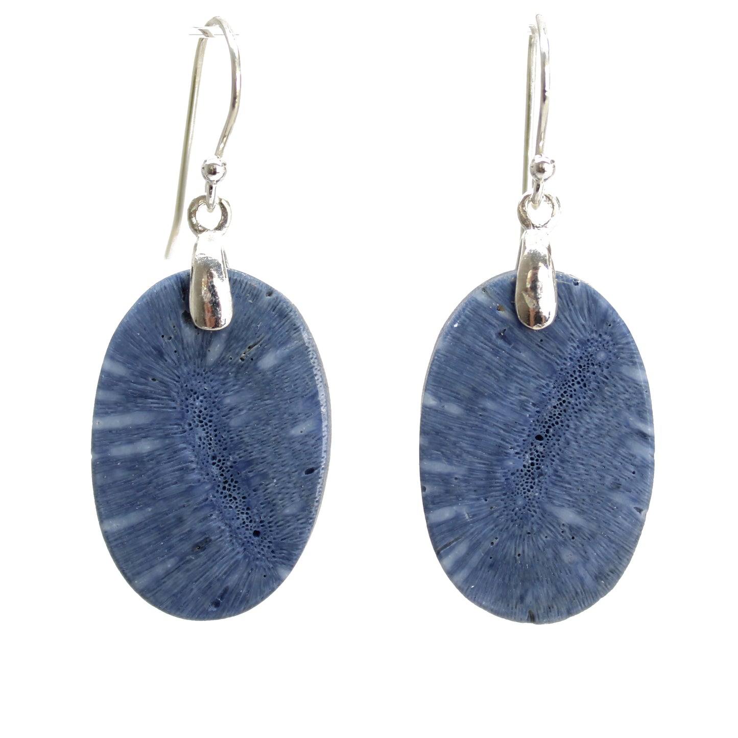 Blue Sponge Coral Earrings with Sterling Silver Ear Wires
